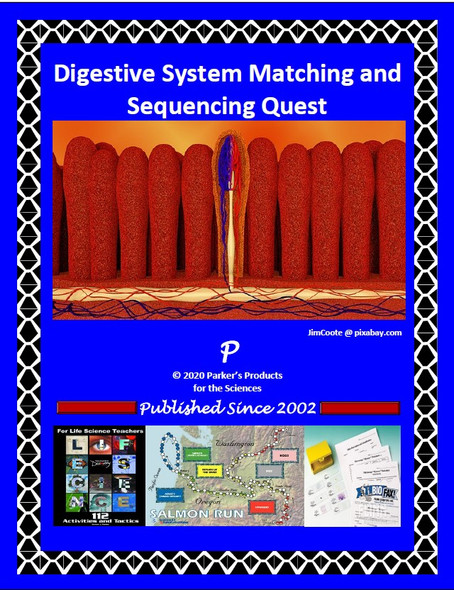 Digestive System Matching and Sequencing Quest