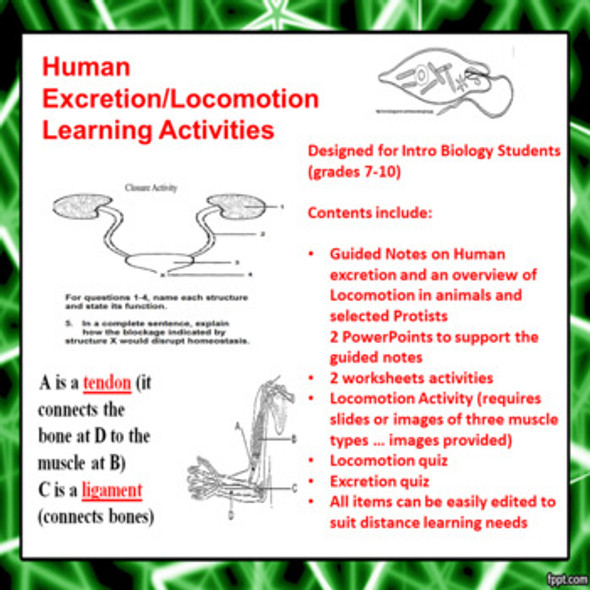 Human Excretion/Locomotion Learning Activities (Distance Learning)