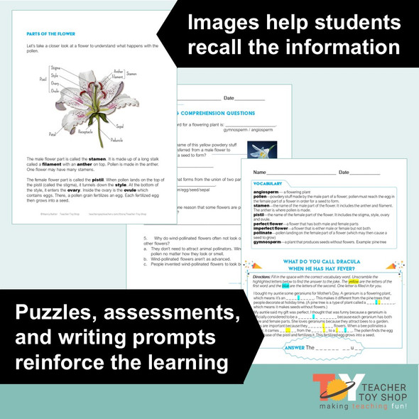 Parts of a Flower and Plant Reproduction Activities | Distance Learning