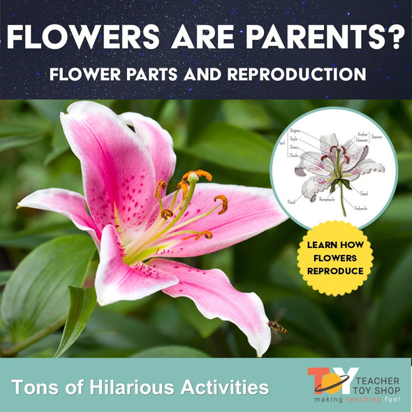Parts of a Flower and Plant Reproduction Activities | Distance Learning