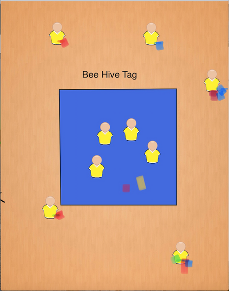 Bee Hive Tag