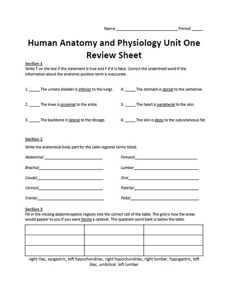 Human Anatomy and Physiology Unit One Review Sheet