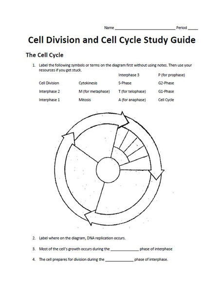 Cell Division and Cell Cycle Study Guide Packet