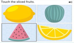 Modified Nouns - Level 2 - Field of Four - Boom Cards™