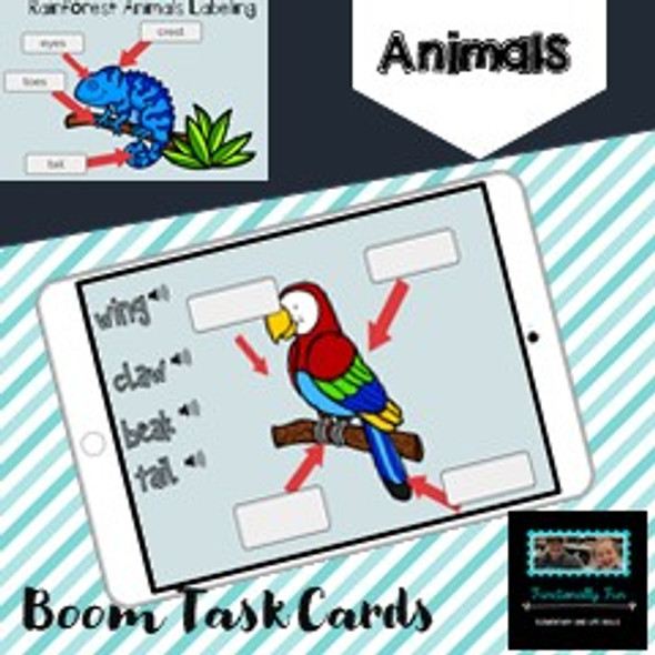 Rainforest Animal Labeling Boom Cards