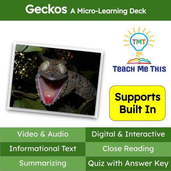 Gecko Informational Text Reading Passage and Activities