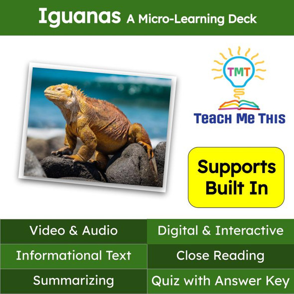 Iguanas Informational Text Reading Passage and Activities