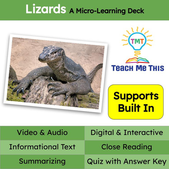 Lizards Informational Text Reading Passage and Activities