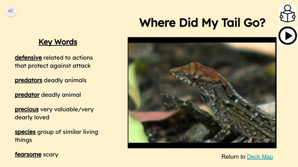 Lizards Informational Text Reading Passage and Activities