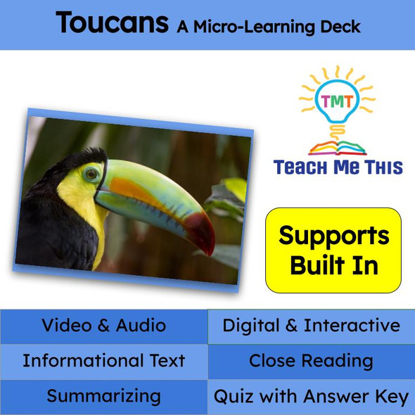 Toucan Informational Text Reading Passage and Activities