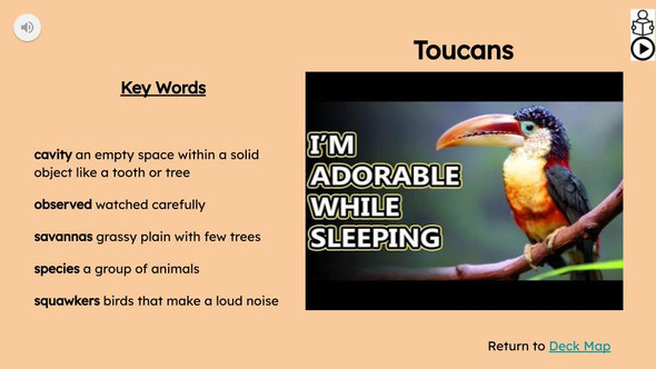 Toucan Informational Text Reading Passage and Activities