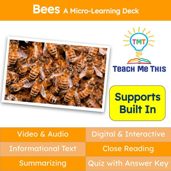 Bees Informational Text Reading Passage and Activities