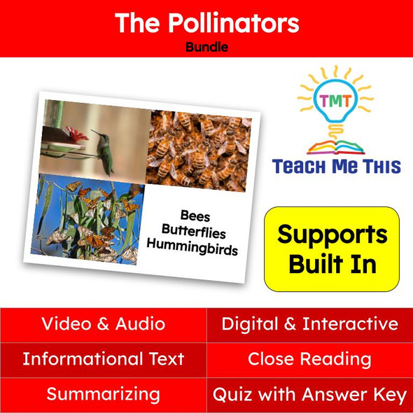 Pollinators Informational Text Reading Passage and Activities BUNDLE