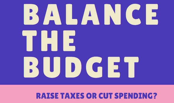 Balance The City Budget in San Francisco and Your Town Economics Assignment