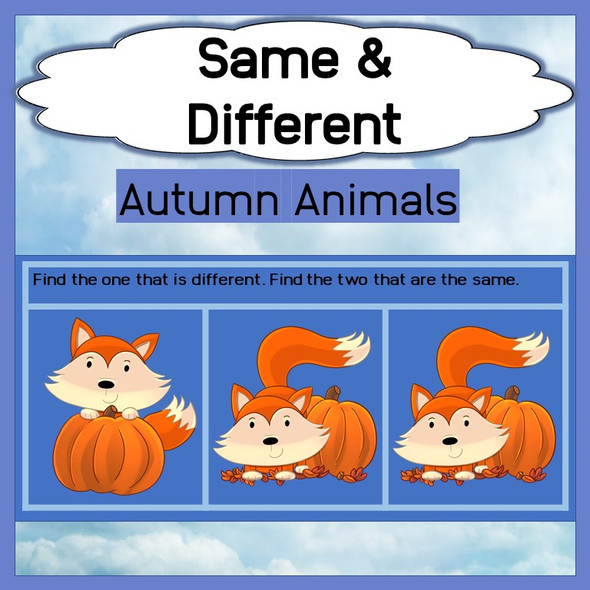 Same & Different - Autumn Animals - Matching & Find the Difference