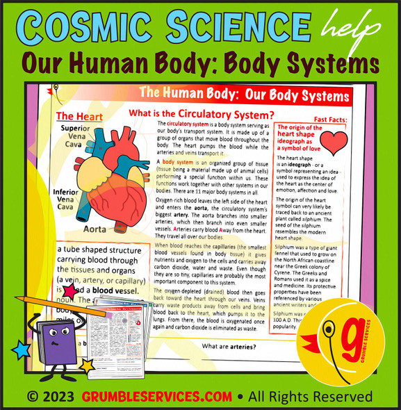 Body Systems: Nervous, Circulatory, Respiratory, Immune System (& Viruses) Our Human Body • VETERAN Montessori Science & Biology help (4 pages + key)