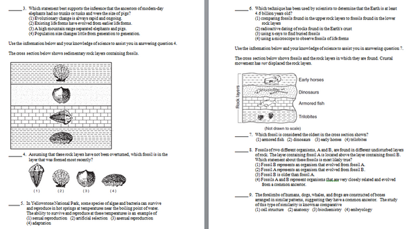 Evolution and Selection Learning Activities for Middle School