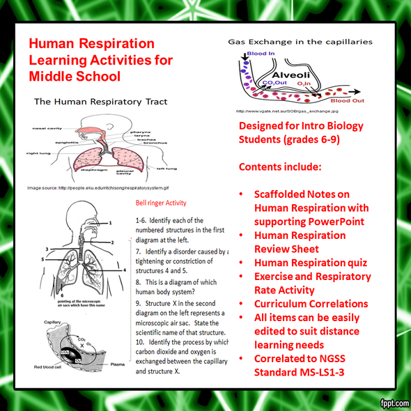 Human Respiration Learning Activities for Middle School
