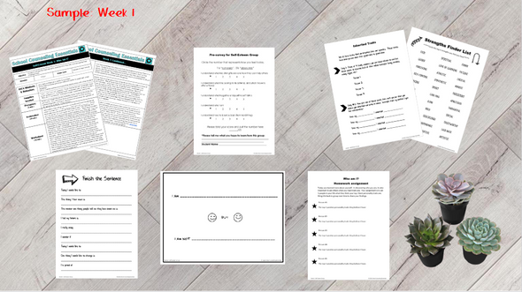 Self-Esteem Group Counseling Curriculum