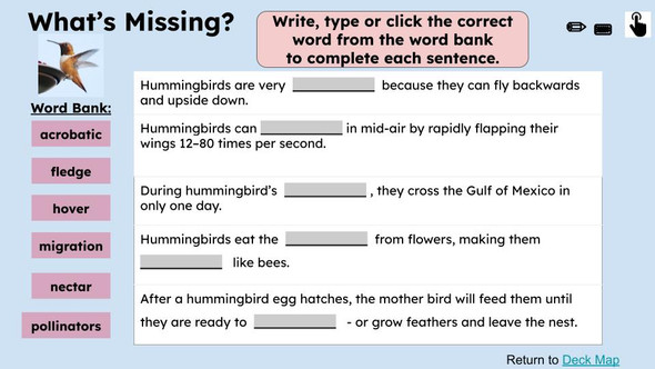 Hummingbirds Informational Text Reading Passage and Activities