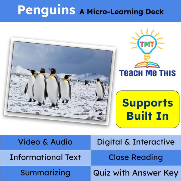 Penguins Informational Text Reading Passage and Activities
