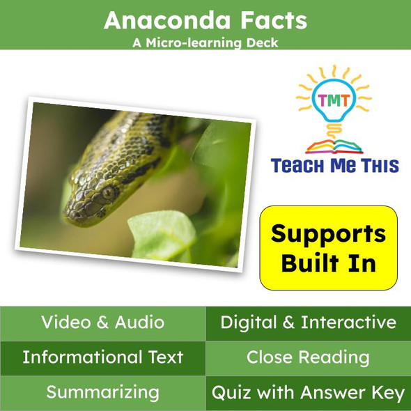 Anaconda Informational Text Reading Passage and Activities