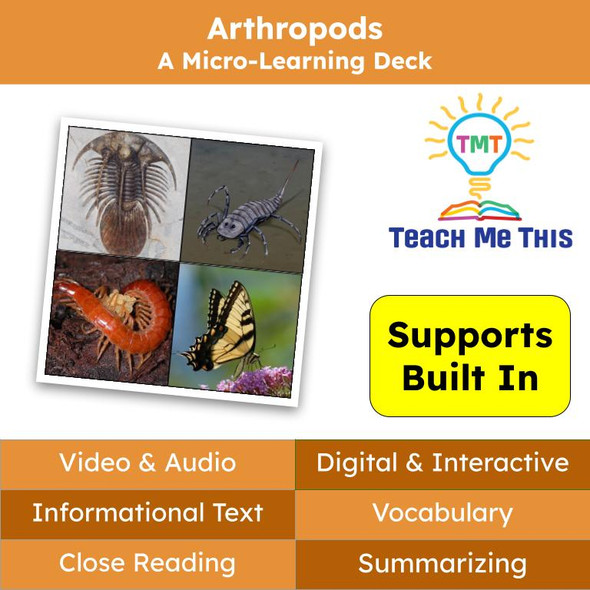 Arthropods Informational Text Reading Passage and Activities