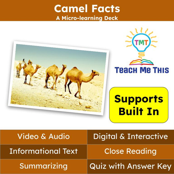 Camels Informational Text Reading Passage and Activities