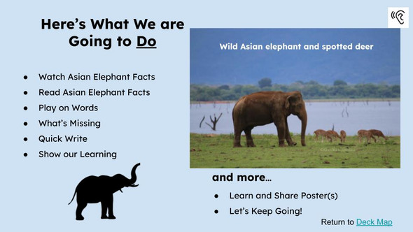 Asian Elephants Informational Text Reading Passage and Activities