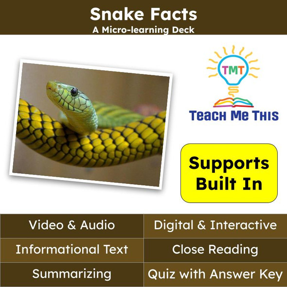 Snakes Informational Text Reading Passage and Activities