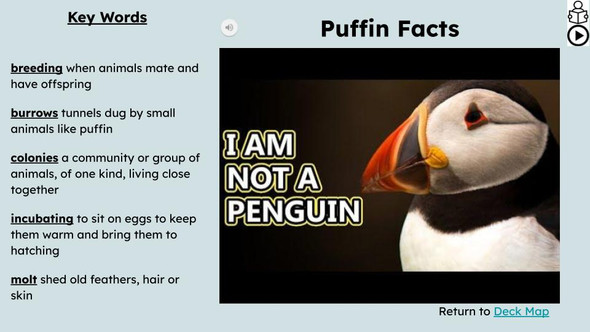 Puffins Informational Text Reading Passage and Activities