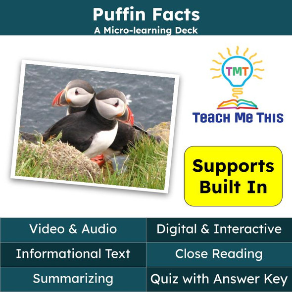 Puffins Informational Text Reading Passage and Activities