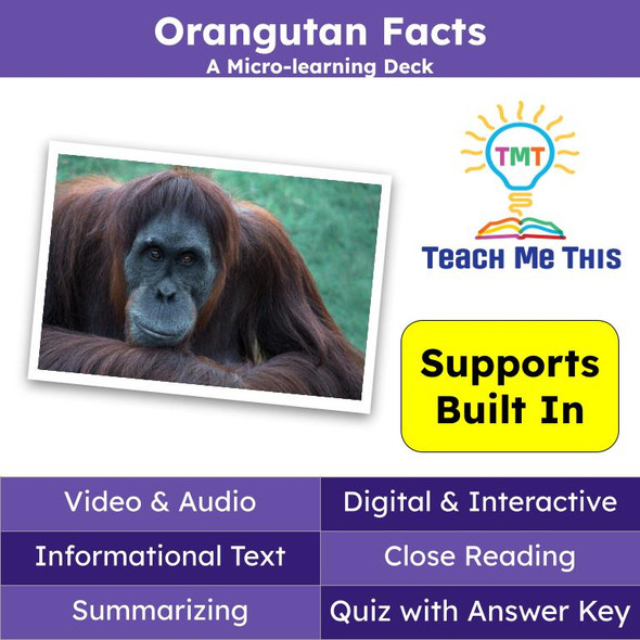 Orangutan Informational Text Reading Passage and Activities