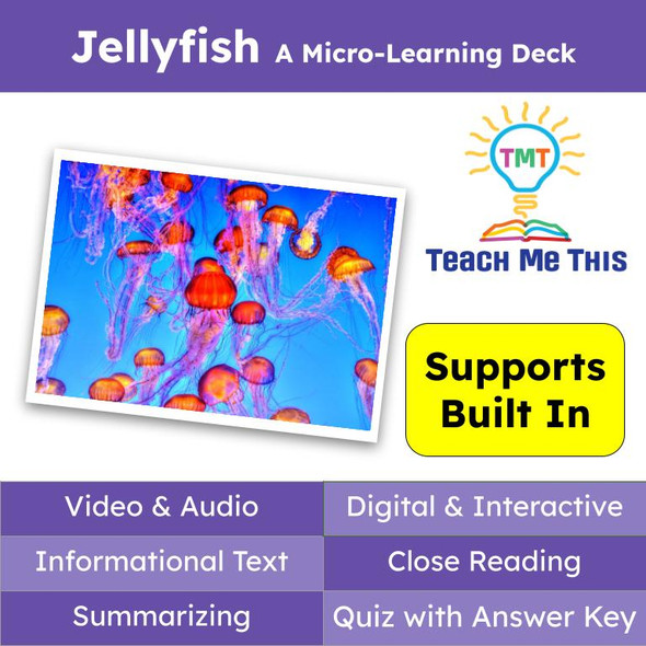 Jellyfish Informational Text Reading Passage and Activities
