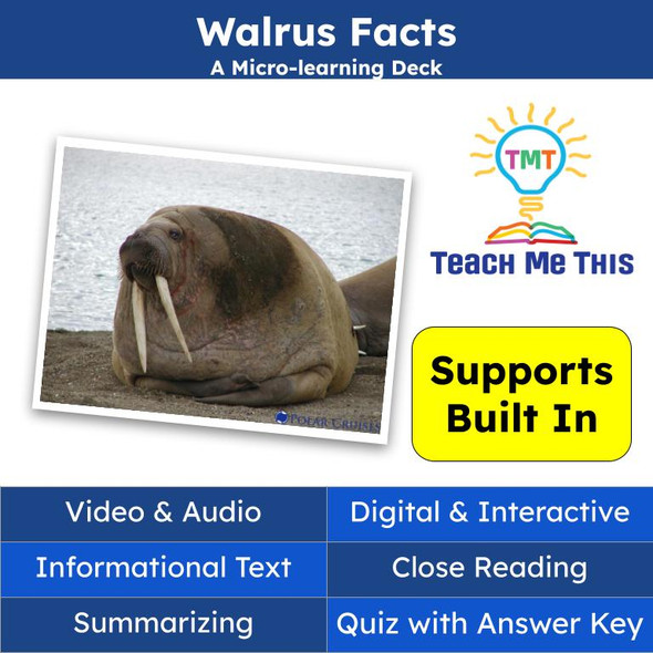 Walrus Informational Text Reading Passage and Activities