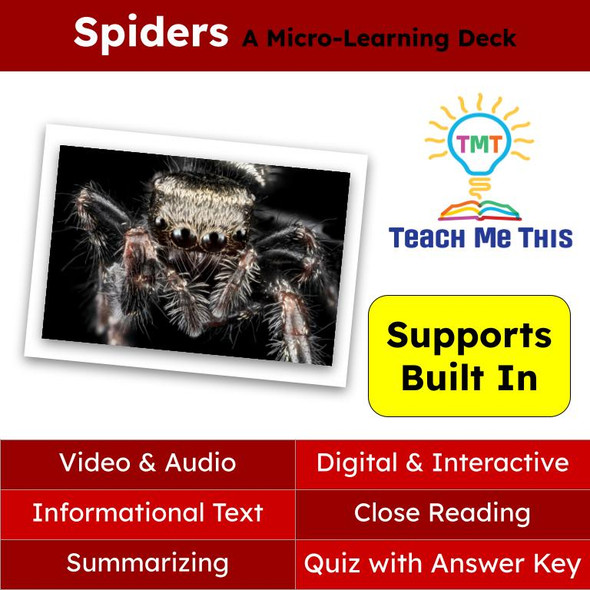 Spiders Informational Text Reading Passage and Activities