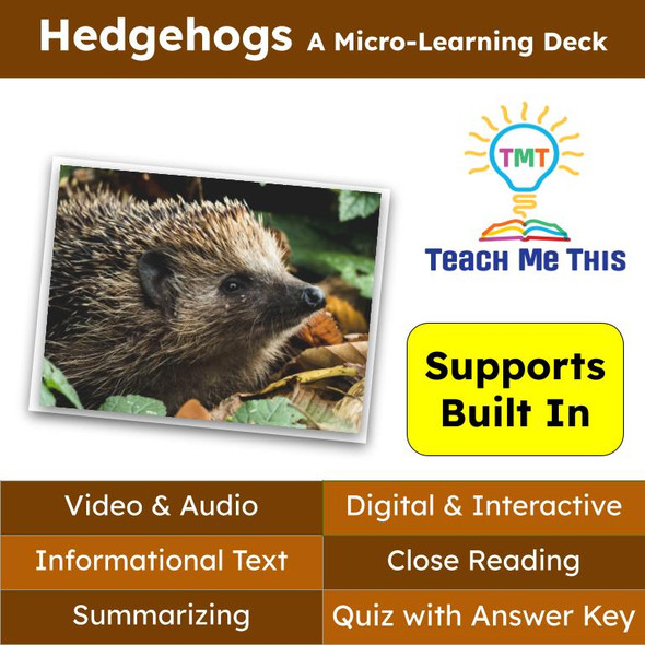 Hedgehogs Informational Text Reading Passage and Activities