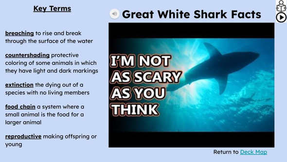 Sharks Informational Text Reading Passage and Activities