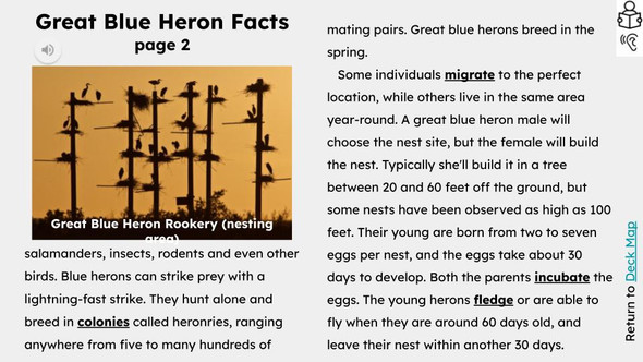 Herons Informational Text Reading Passage and Activities