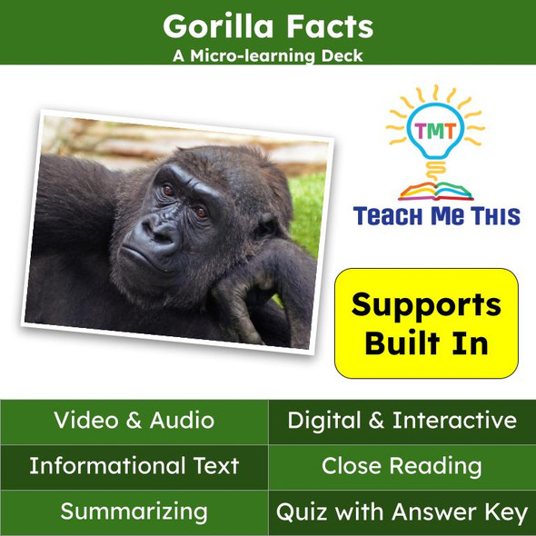 Gorillas Informational Text Reading Passage and Activities