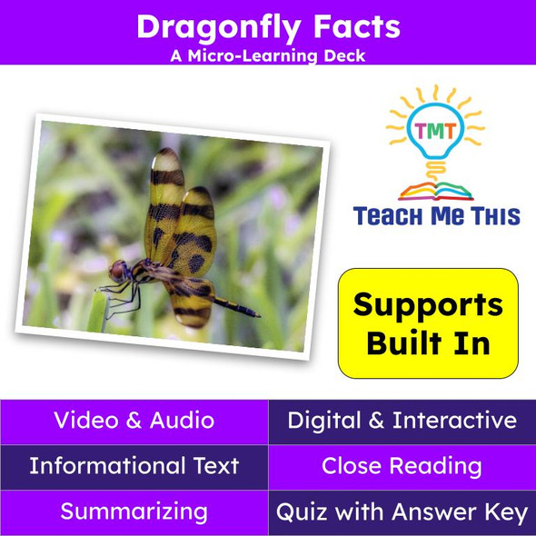 Dragonfly Informational Text Reading Passage and Activities