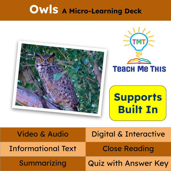 Owls Informational Text Reading Passage and Activities