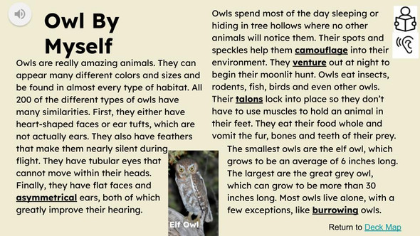 Owls Informational Text Reading Passage and Activities