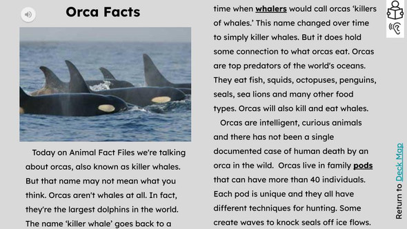 Orcas Informational Text Reading Passage and Activities