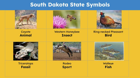 South Dakota (50 States and Capitals) Informational Text and Activities