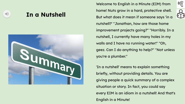 In A Nutshell Figurative Language Reading Passage and Activities