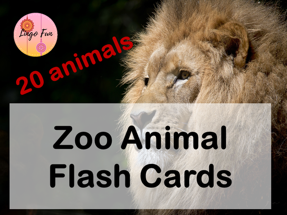Zoo Animal Vocabulary Flash Cards for ESL