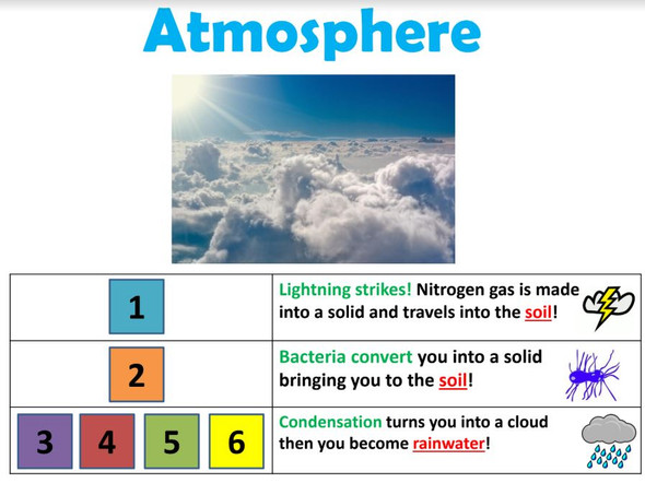 Nitrogen Cycle: From Poop to Plants