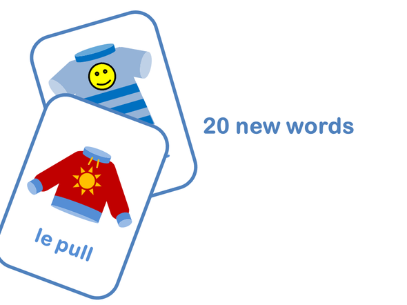 French Clothes Vocabulary Flash Cards