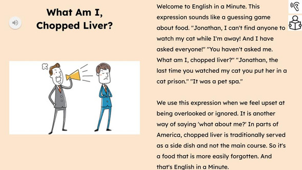 What Am I, Chopped Liver Figurative Language Reading Passage and Activities